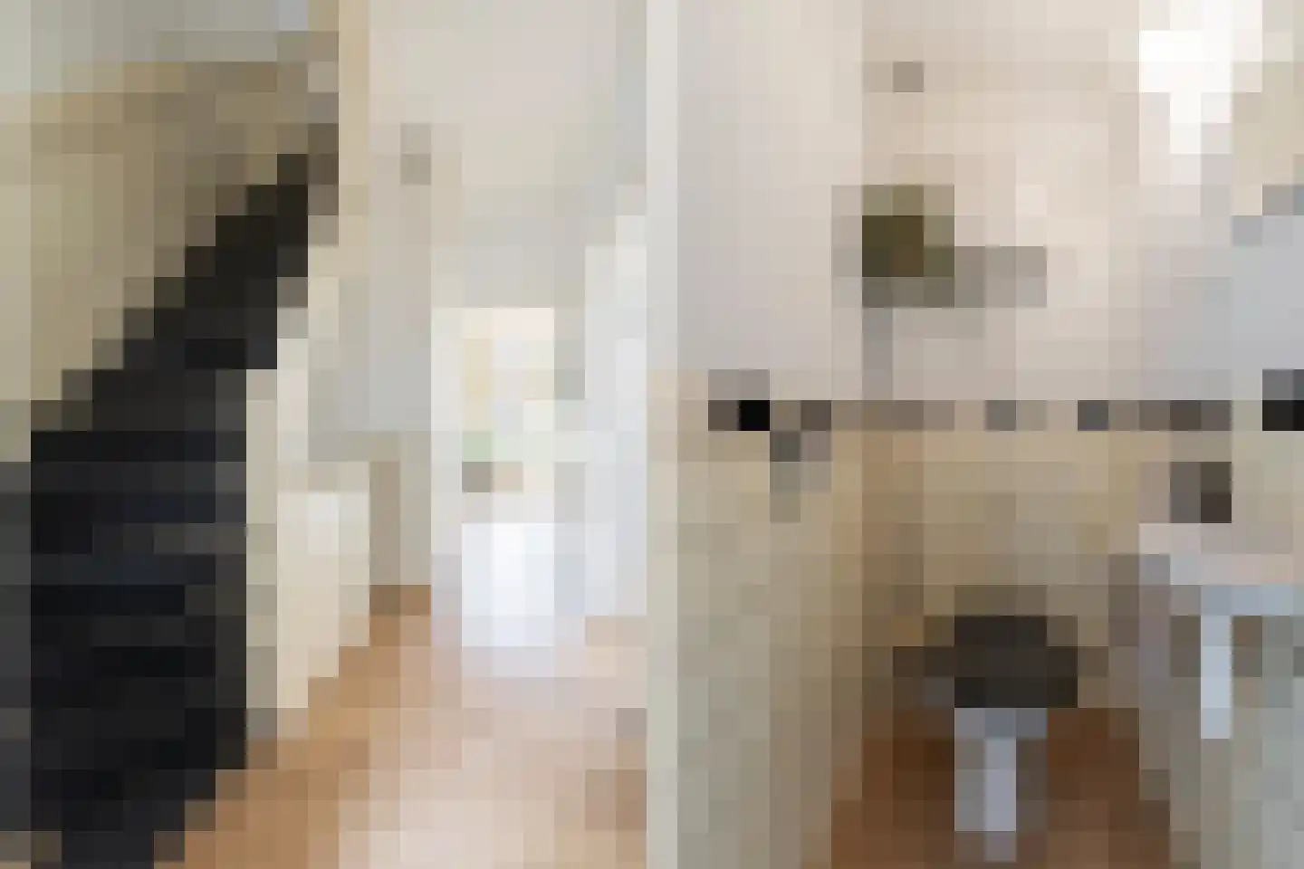Bilderdijkstraat 40 BS Utrecht thumbnail 8