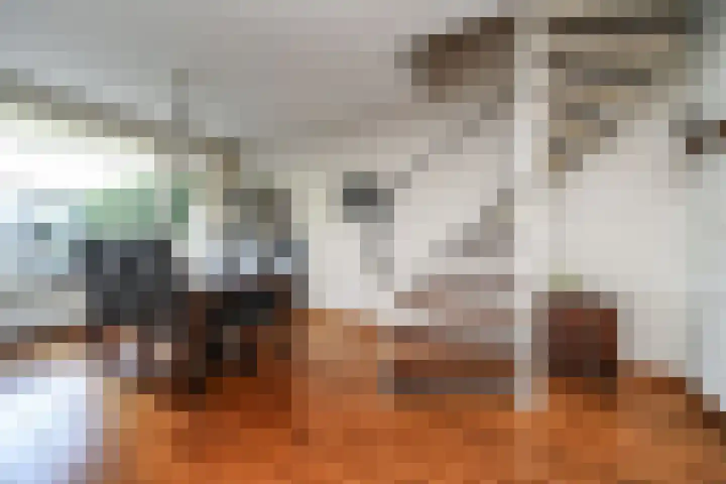 Bilderdijkstraat 42 Alblasserdam thumbnail 15