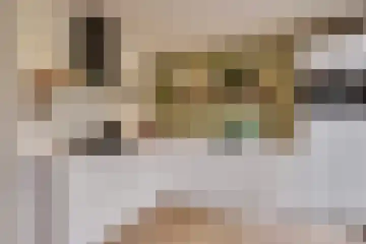 Bilderdijkstraat 43 Breda thumbnail 11