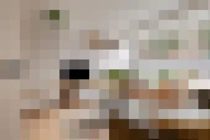 Bilderdijkstraat 43 Breda thumbnail 4