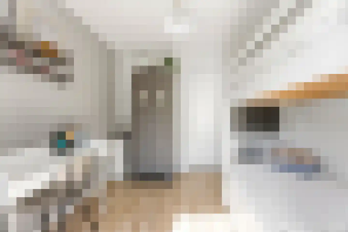 Bilderdijkstraat 44 Alblasserdam thumbnail 27