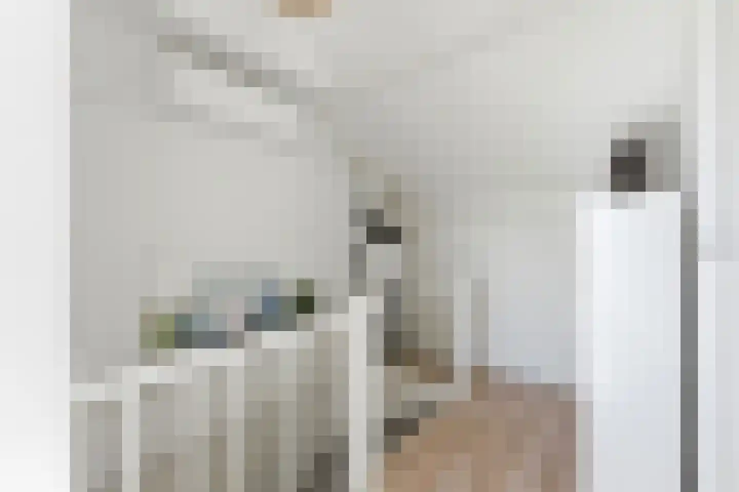Bilderdijkstraat 44 Alblasserdam thumbnail 34