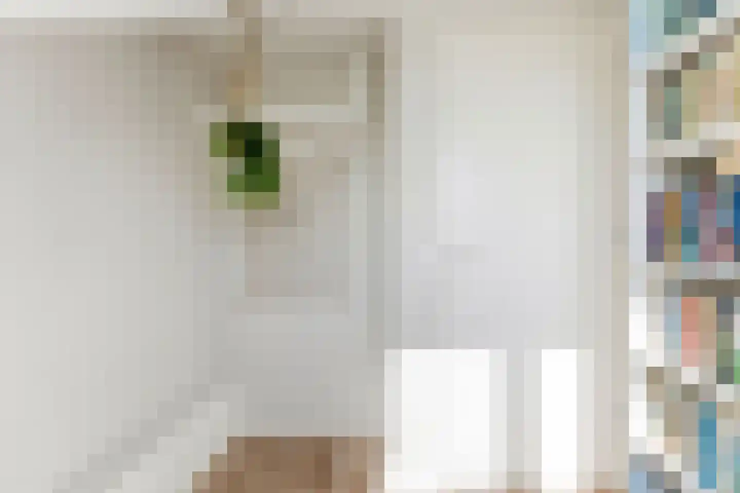 Bilderdijkstraat 44 Alblasserdam thumbnail 38