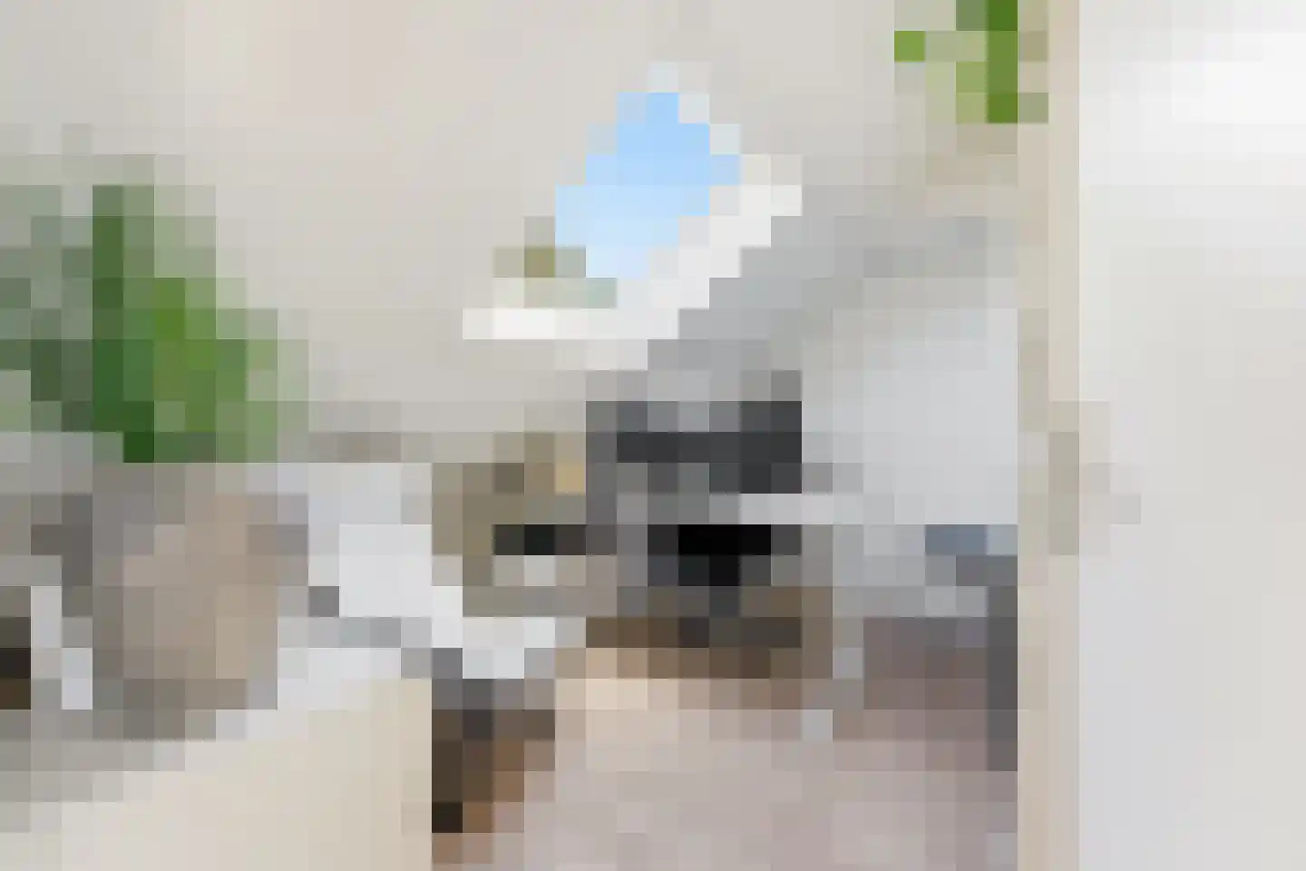 Bilderdijkstraat 44 Alblasserdam thumbnail 39