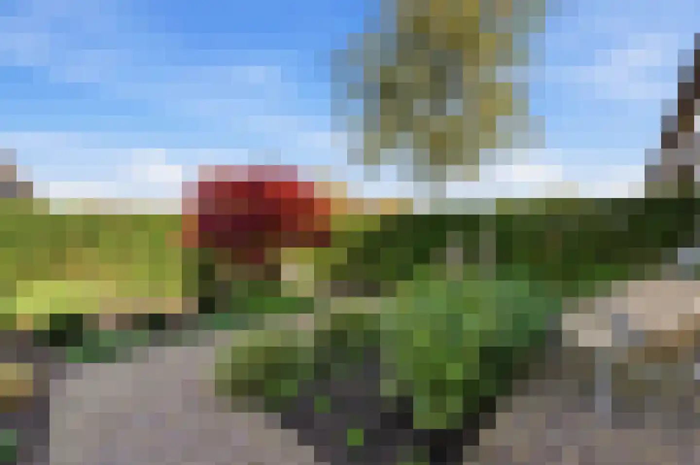 Bilderdijkstraat 44 Alblasserdam thumbnail 54