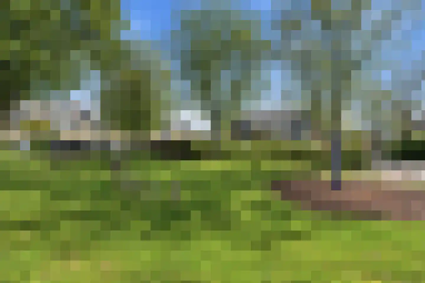 Bilderdijkstraat 44 Alblasserdam thumbnail 59