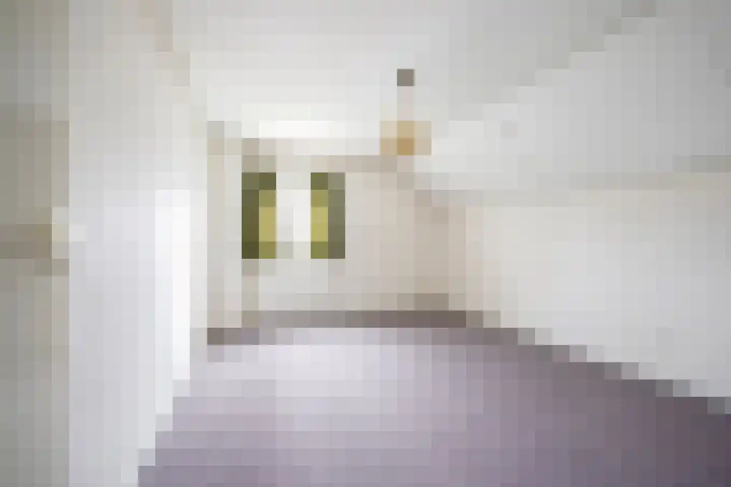 Bilderdijkstraat 44 Putten thumbnail 19
