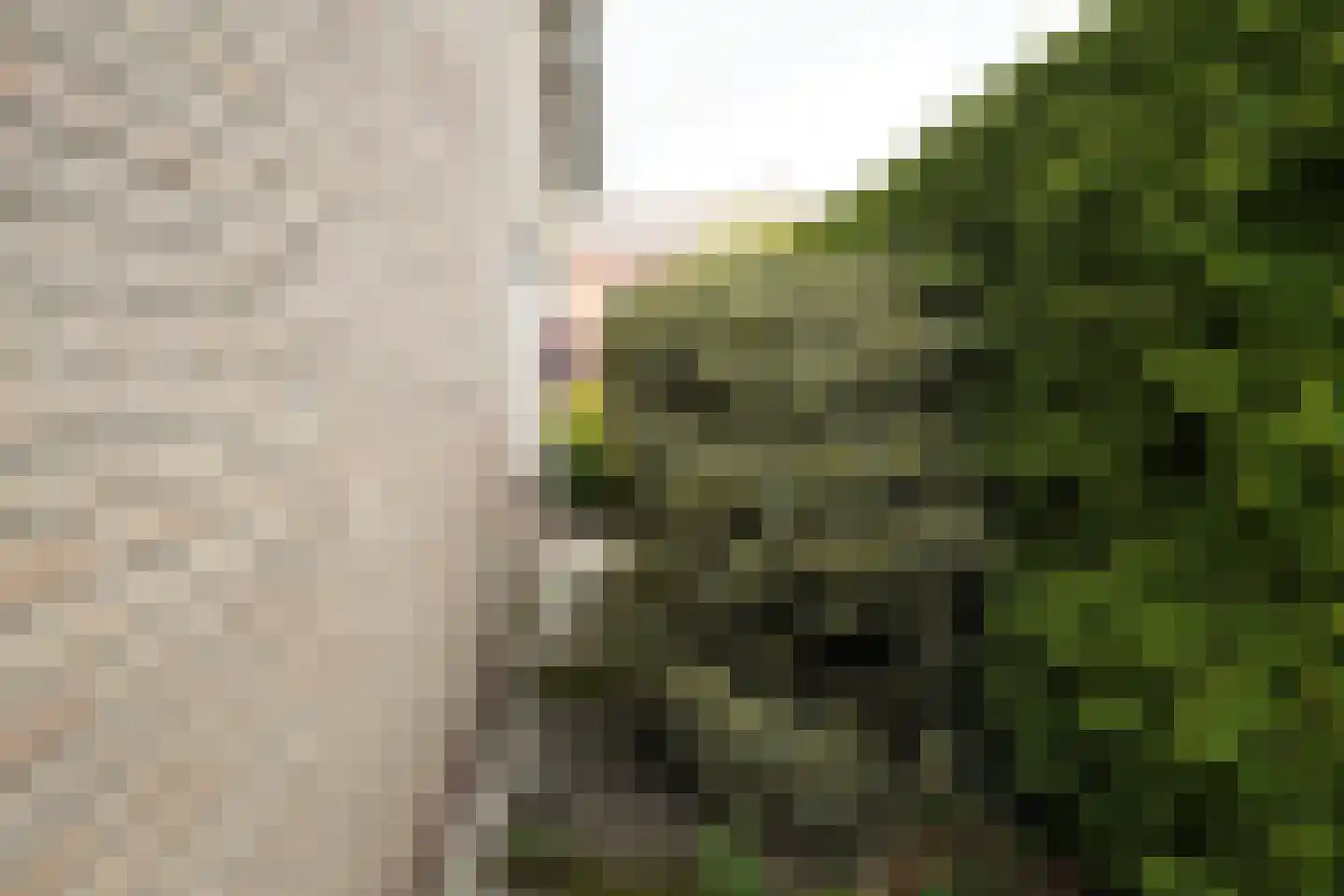 Bilderdijkstraat 44 Putten thumbnail 30