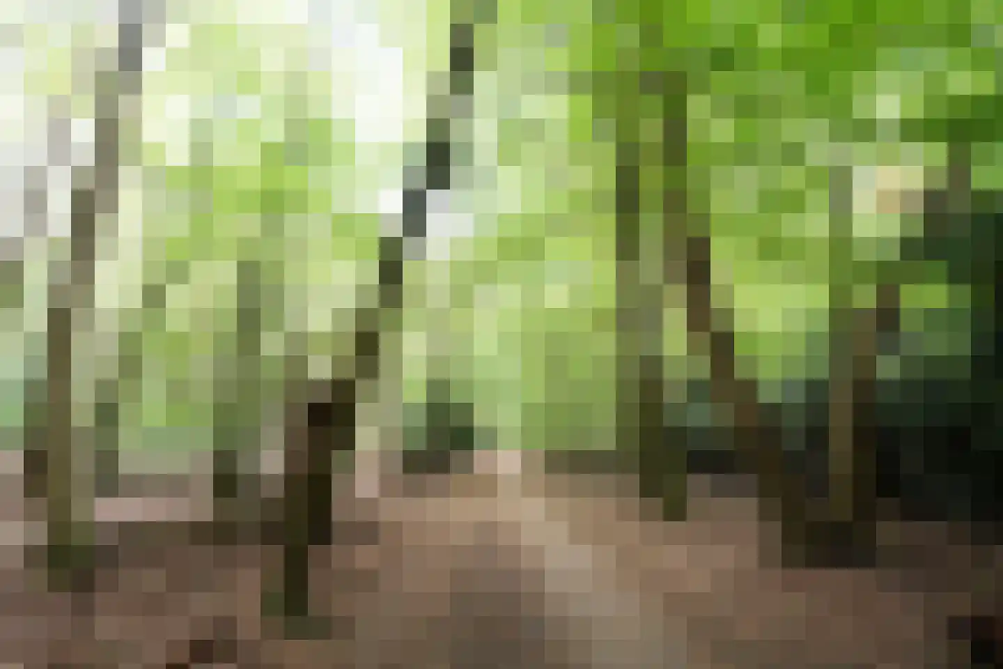 Bilderdijkstraat 44 Putten thumbnail 35