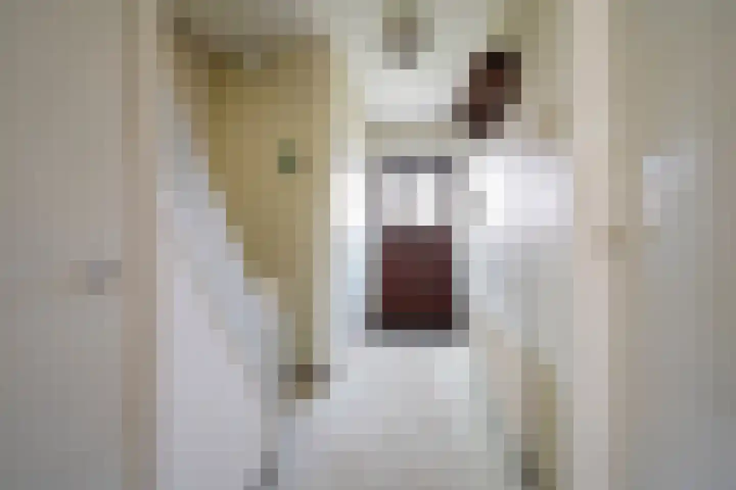 Bilderdijkstraat 44 Putten thumbnail 6