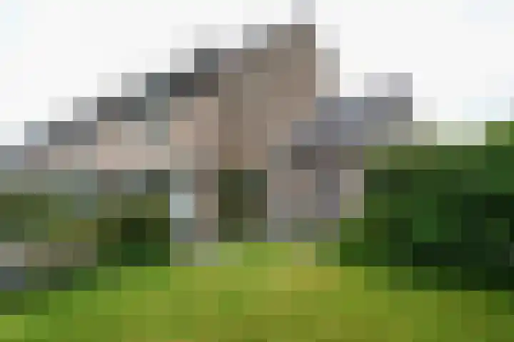 Bilderdijkstraat 46 Alblasserdam thumbnail 7