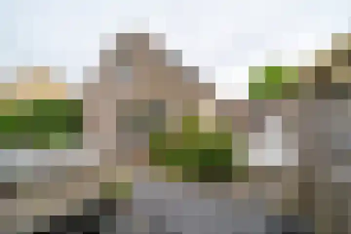 Bilderdijkstraat 46 Alblasserdam thumbnail 8