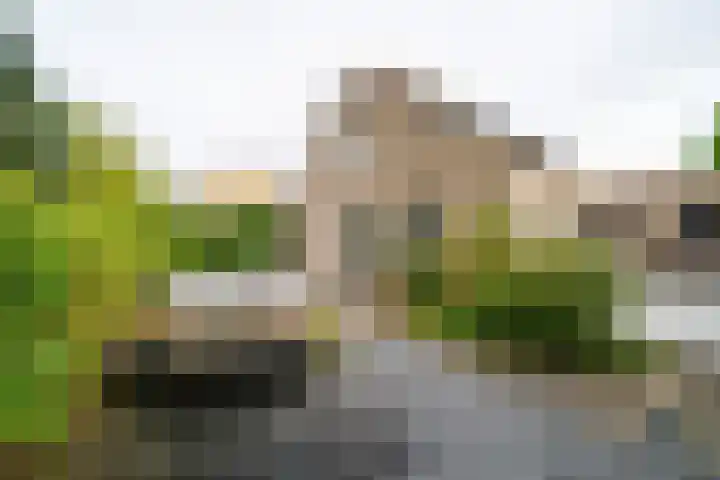 Bilderdijkstraat 46 Alblasserdam thumbnail 9