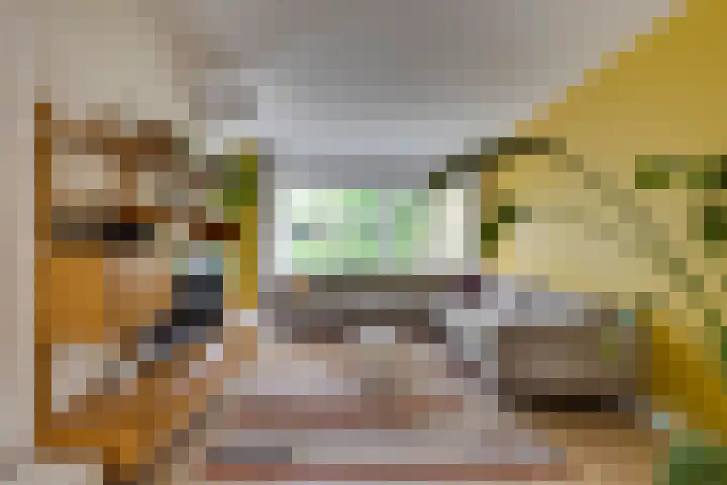 Bilderdijkstraat 5 Son en Breugel thumbnail 16