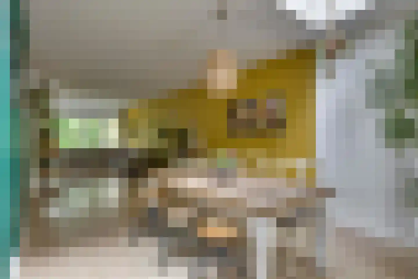 Bilderdijkstraat 5 Son en Breugel thumbnail 26