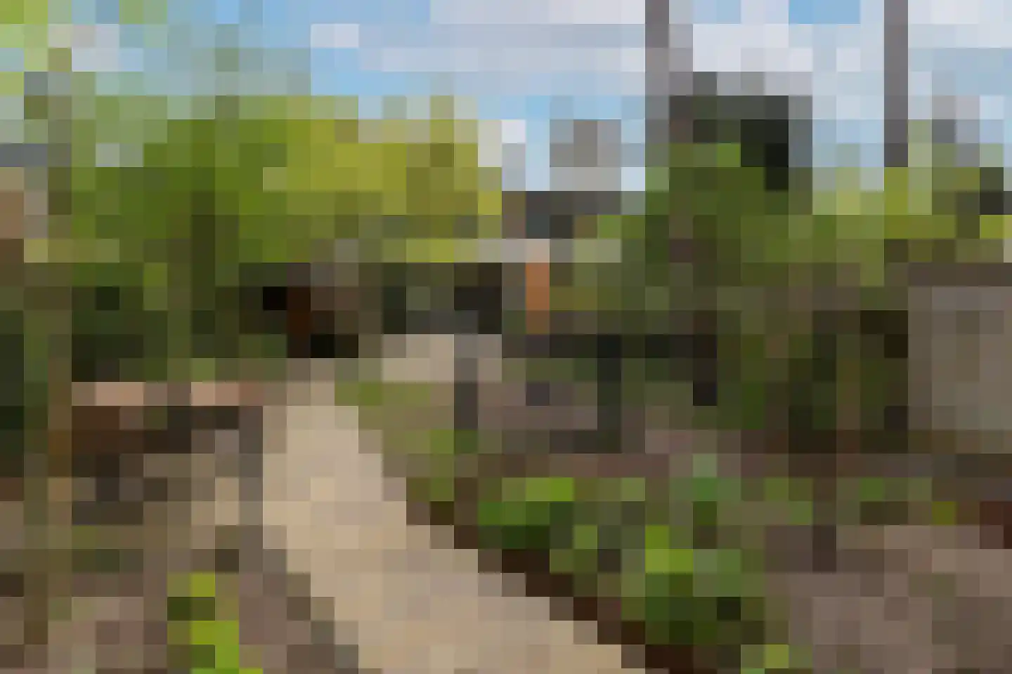 Bilderdijkstraat 5 Son en Breugel thumbnail 5