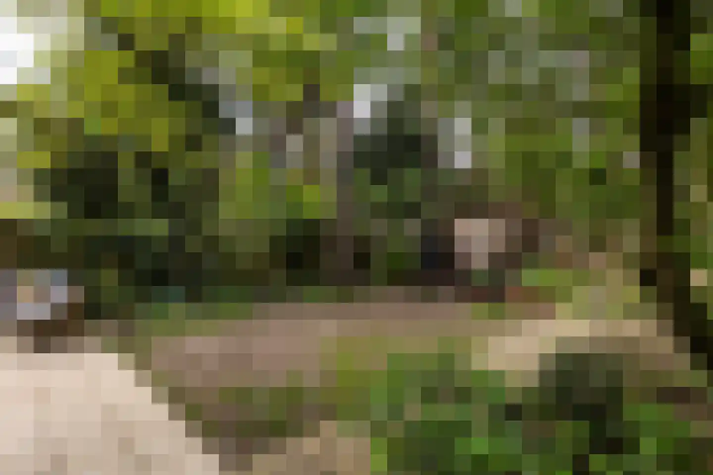 Bilderdijkstraat 5 Son en Breugel thumbnail 51