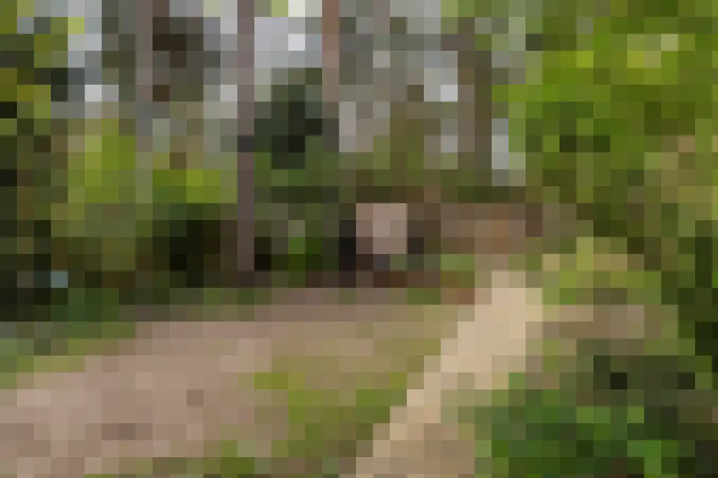 Bilderdijkstraat 5 Son en Breugel thumbnail 52