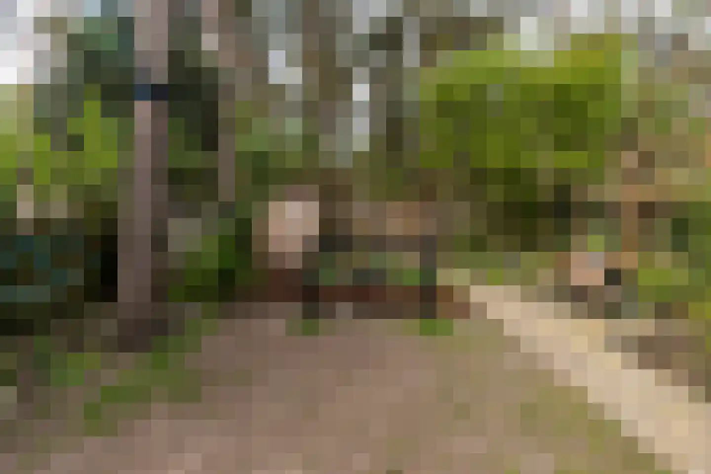 Bilderdijkstraat 5 Son en Breugel thumbnail 53