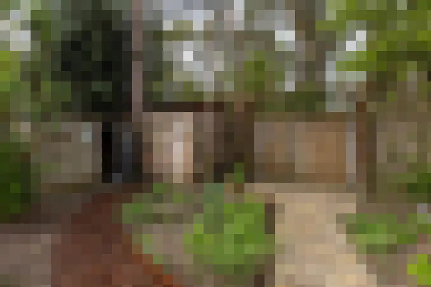 Bilderdijkstraat 5 Son en Breugel thumbnail 54