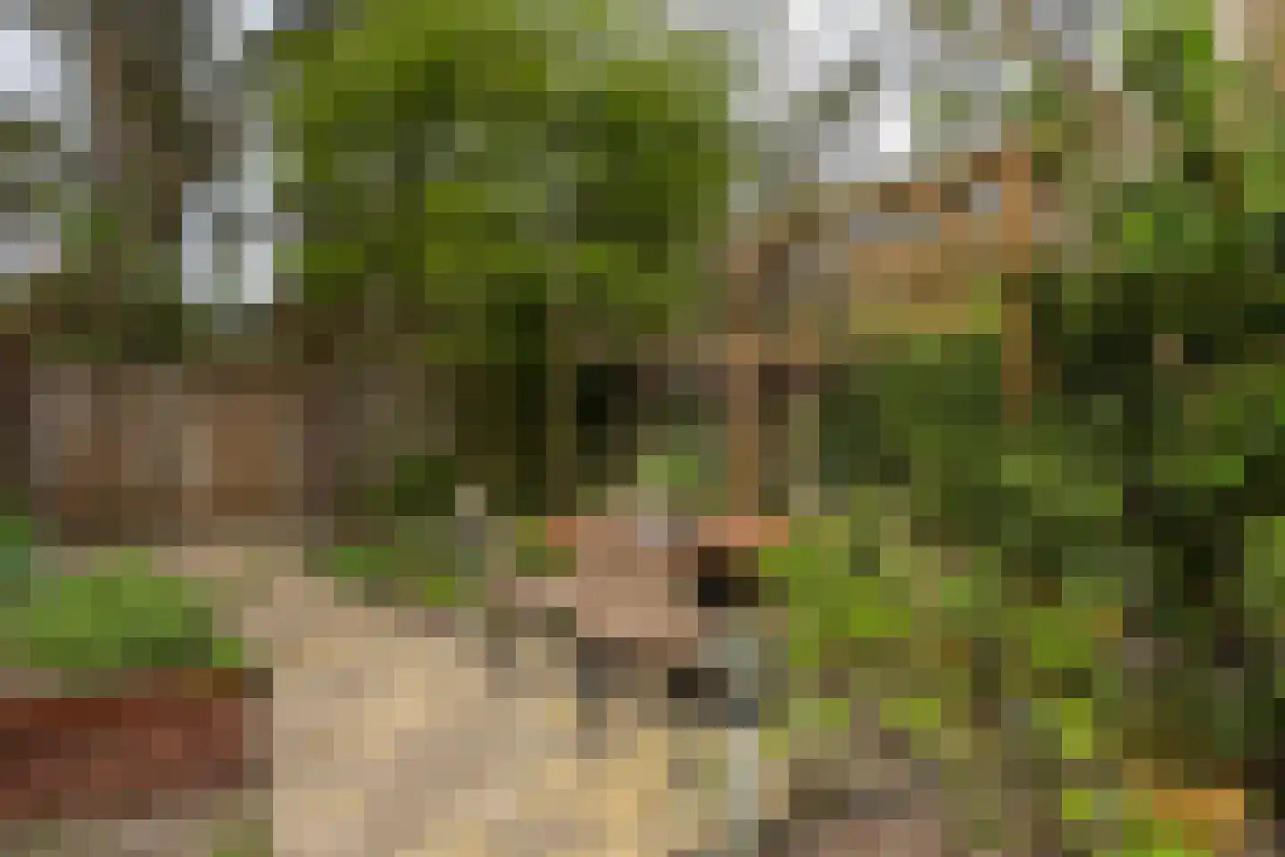 Bilderdijkstraat 5 Son en Breugel thumbnail 55