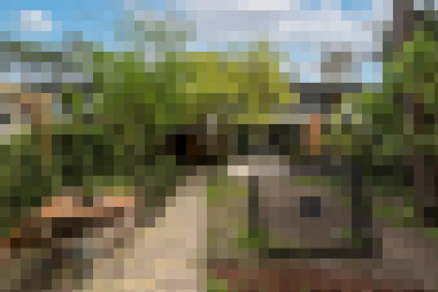 Bilderdijkstraat 5 Son en Breugel thumbnail 56
