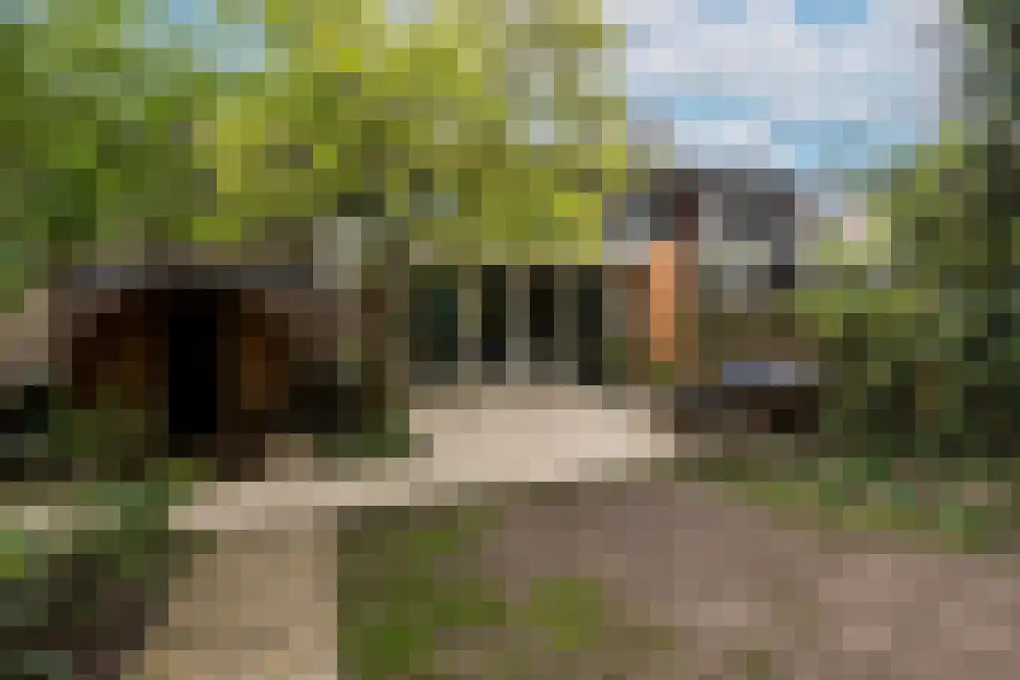 Bilderdijkstraat 5 Son en Breugel thumbnail 60