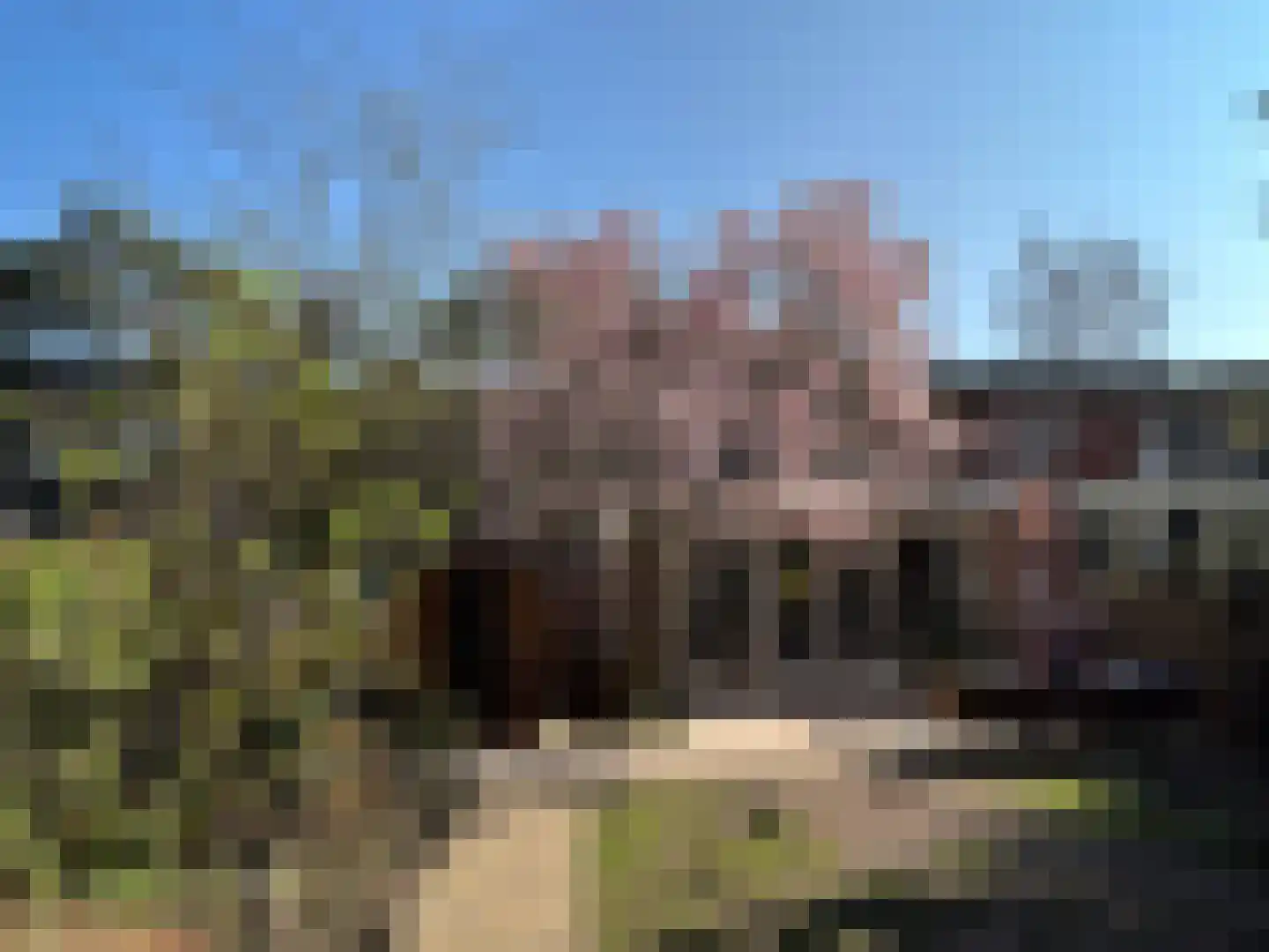 Bilderdijkstraat 5 Son en Breugel thumbnail 64