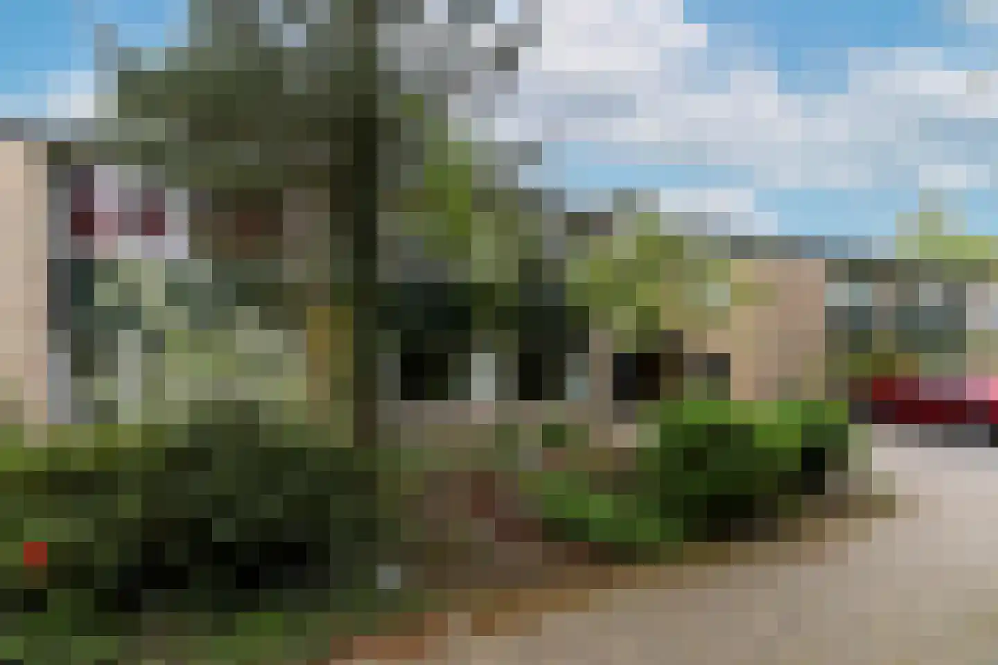 Bilderdijkstraat 5 Son en Breugel thumbnail 8