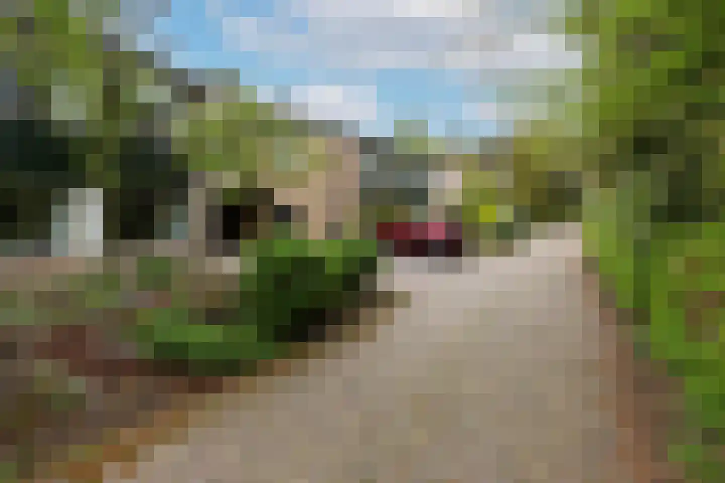 Bilderdijkstraat 5 Son en Breugel thumbnail 9