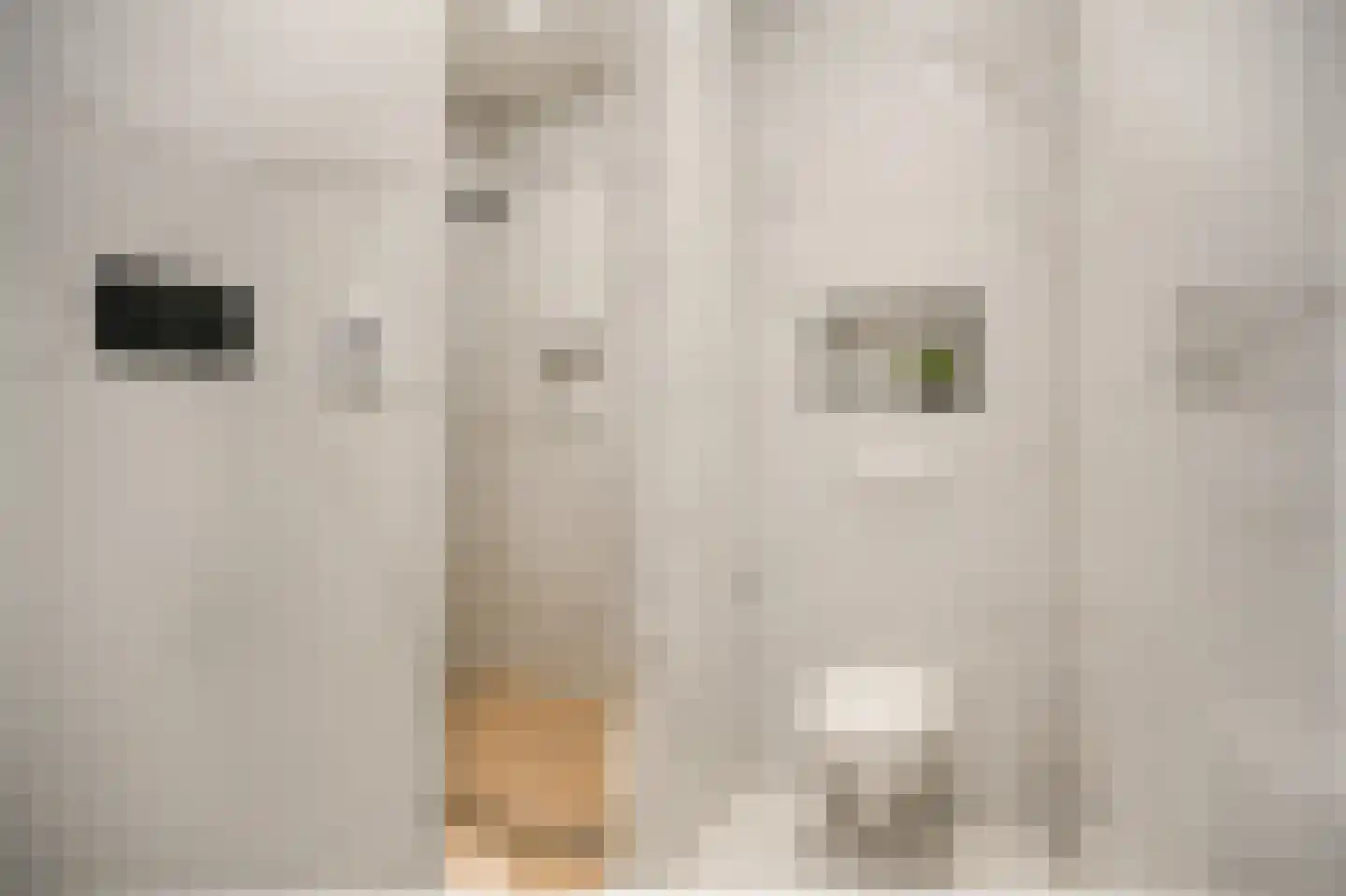 Bilderdijkstraat 5 Utrecht thumbnail 19