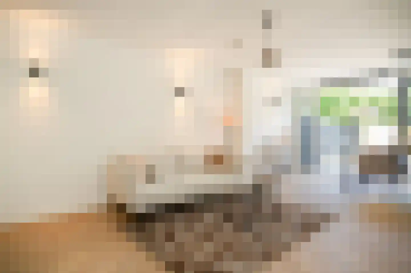 Bilderdijkstraat 5 Utrecht thumbnail 7