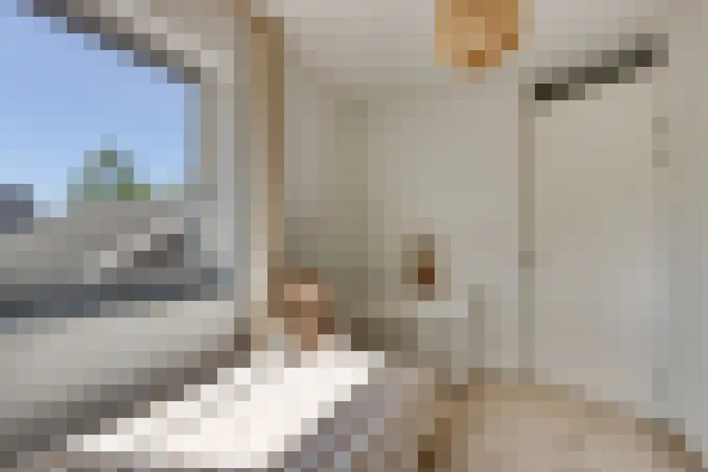 Bilderdijkstraat 54 Bunschoten-Spakenburg thumbnail 23
