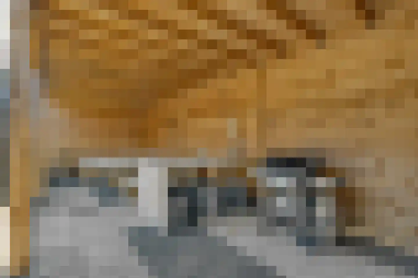 Bilderdijkstraat 54 Bunschoten-Spakenburg thumbnail 40