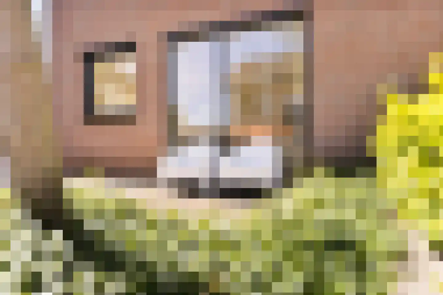 Bilderdijkstraat 54 Bunschoten-Spakenburg thumbnail 5