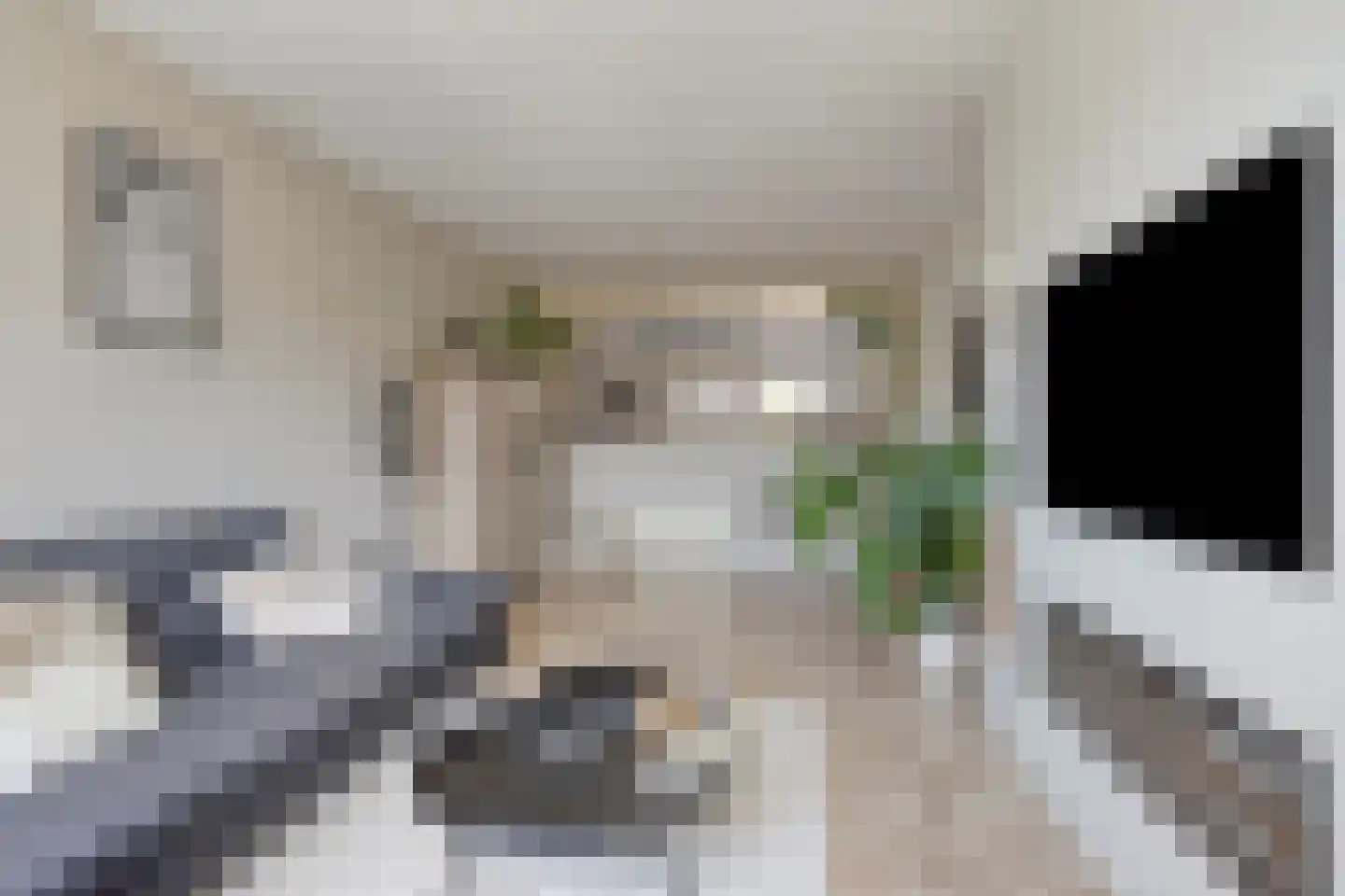 Bilderdijkstraat 54 Oldenzaal thumbnail 8