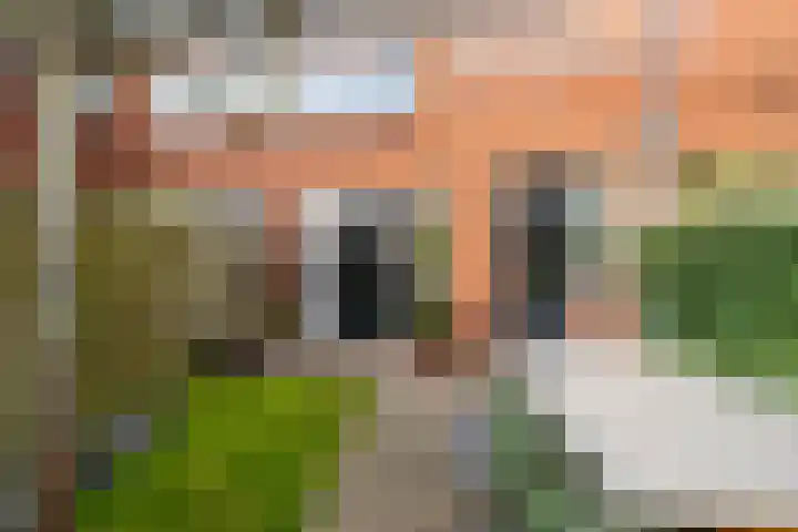 Bilderdijkstraat 58 Zwolle thumbnail 33