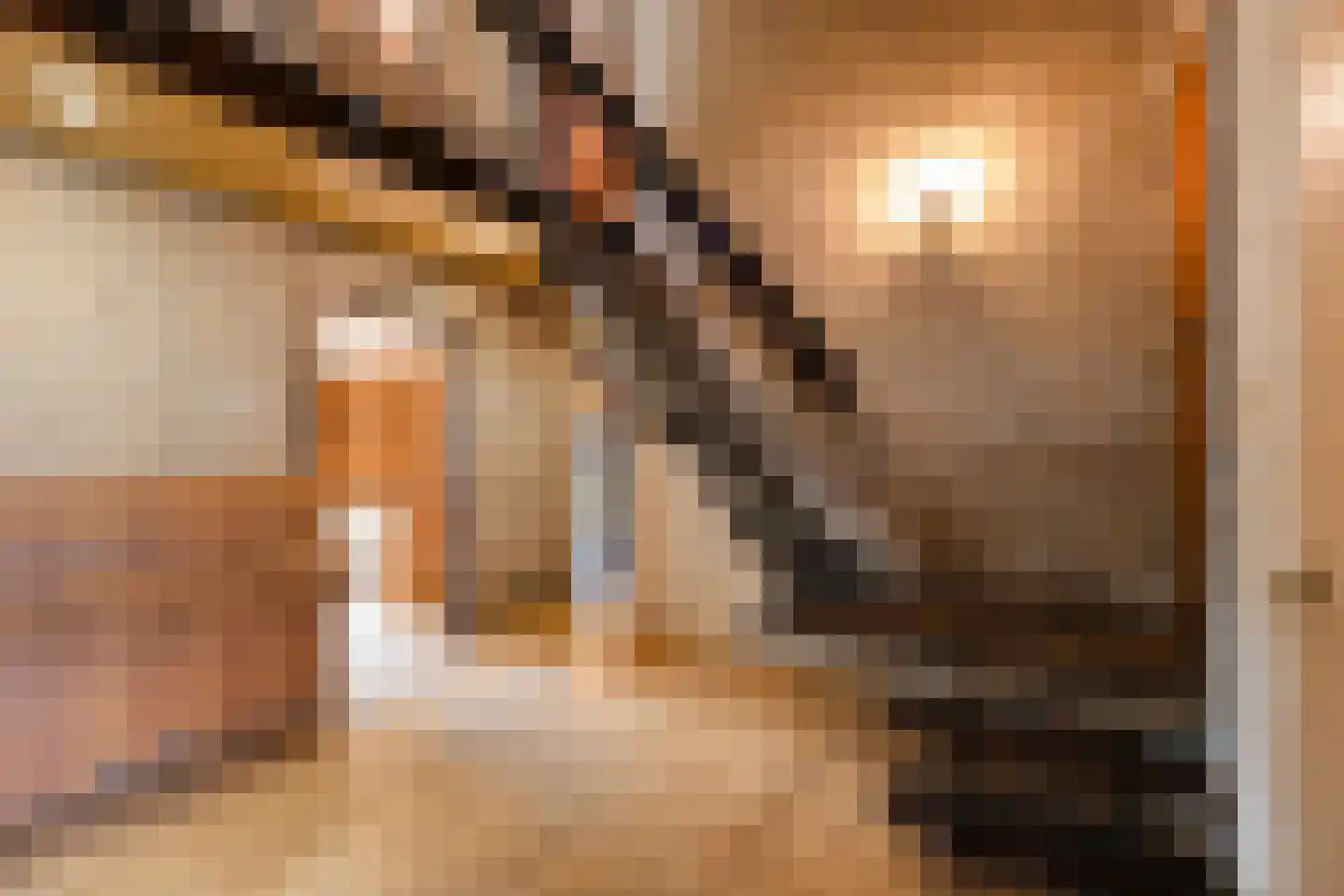 Bilderdijkstraat 6 Alkmaar thumbnail 13