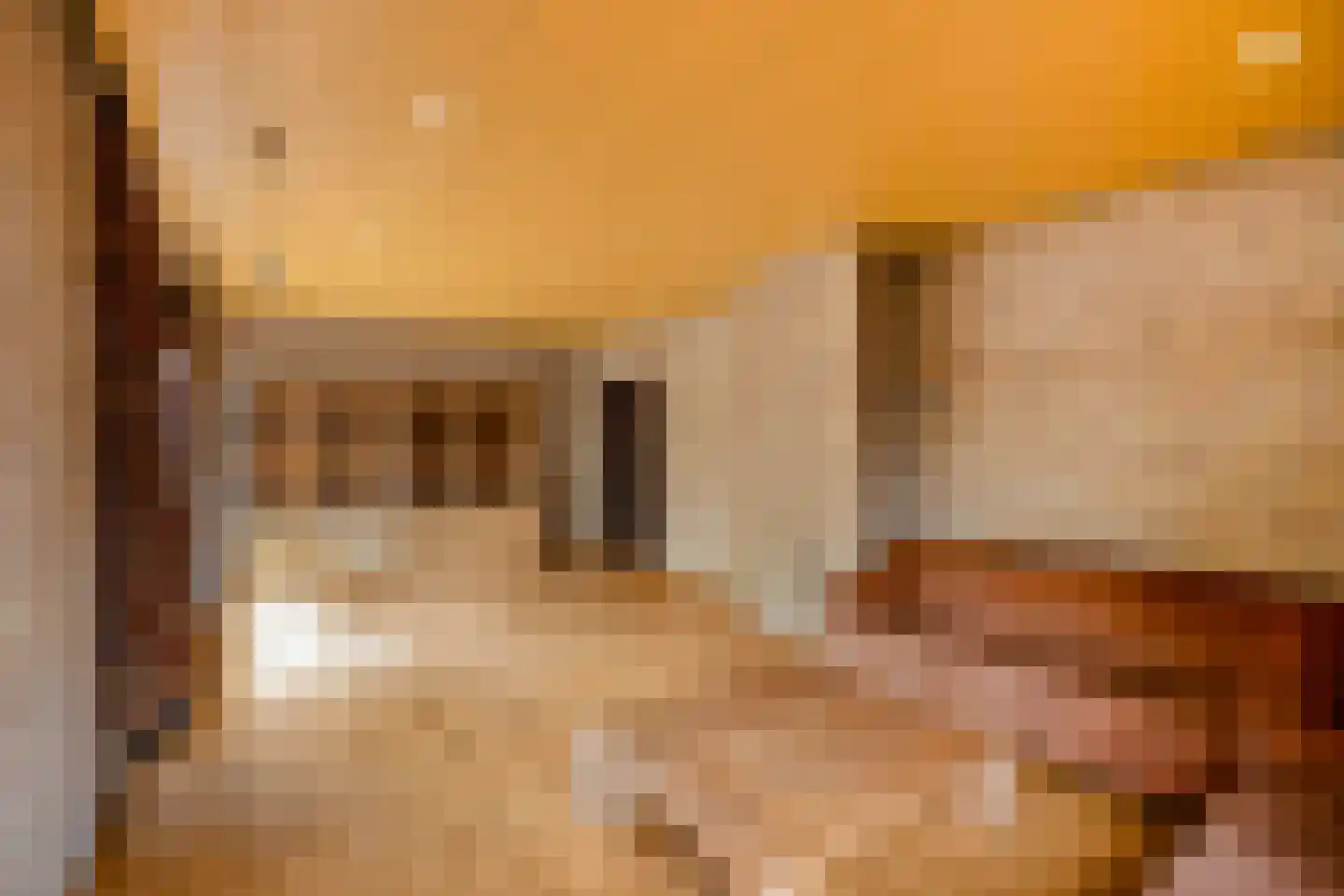 Bilderdijkstraat 6 Alkmaar thumbnail 14
