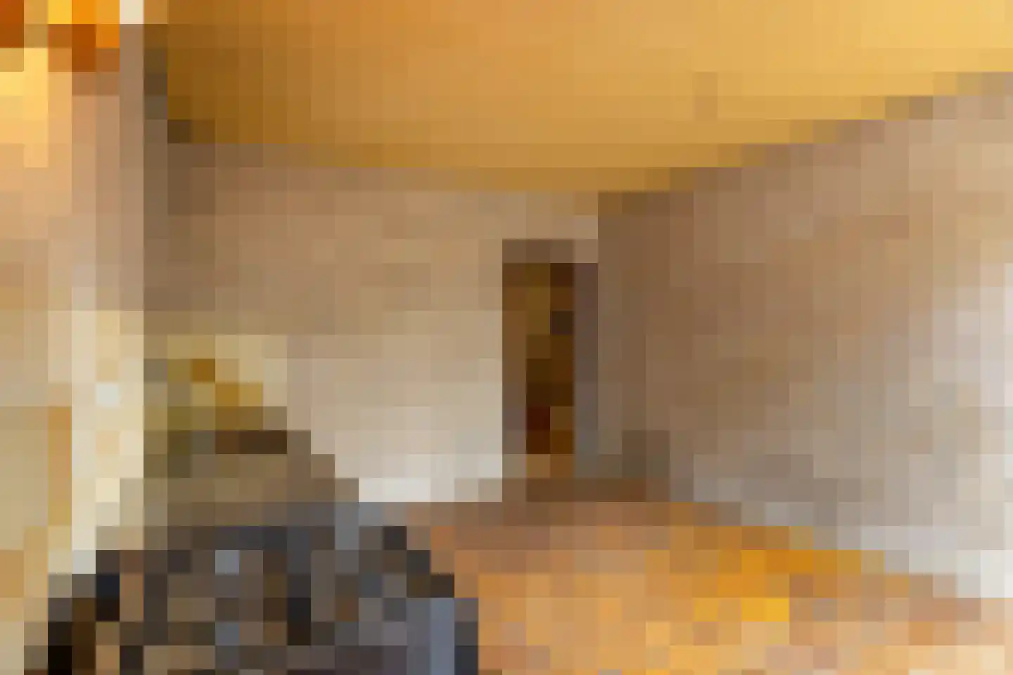 Bilderdijkstraat 6 Alkmaar thumbnail 19