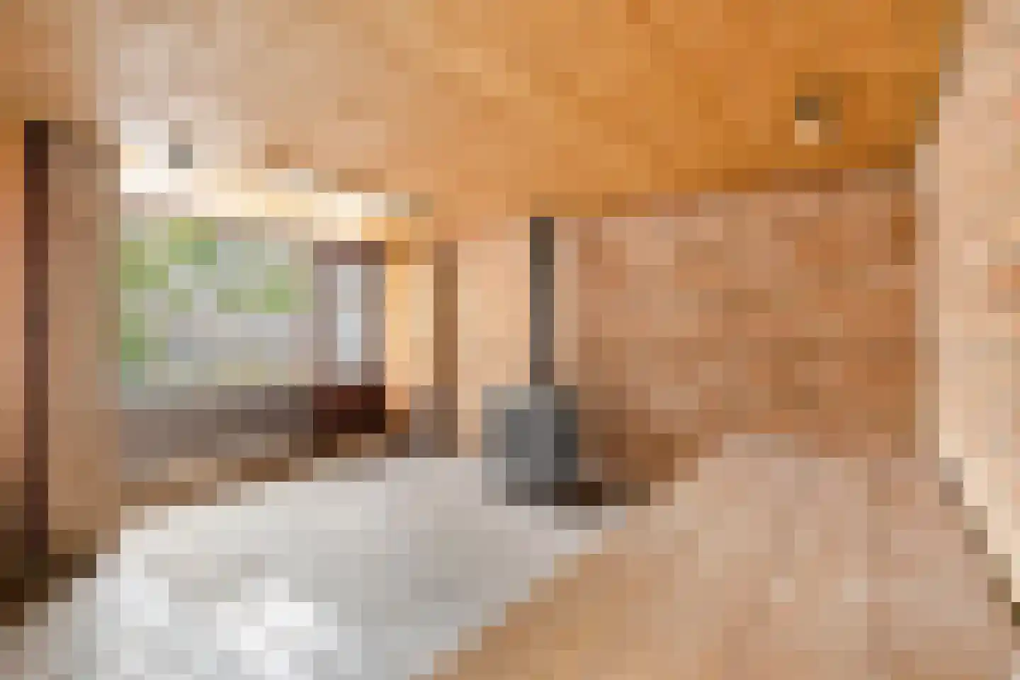 Bilderdijkstraat 6 Alkmaar thumbnail 22
