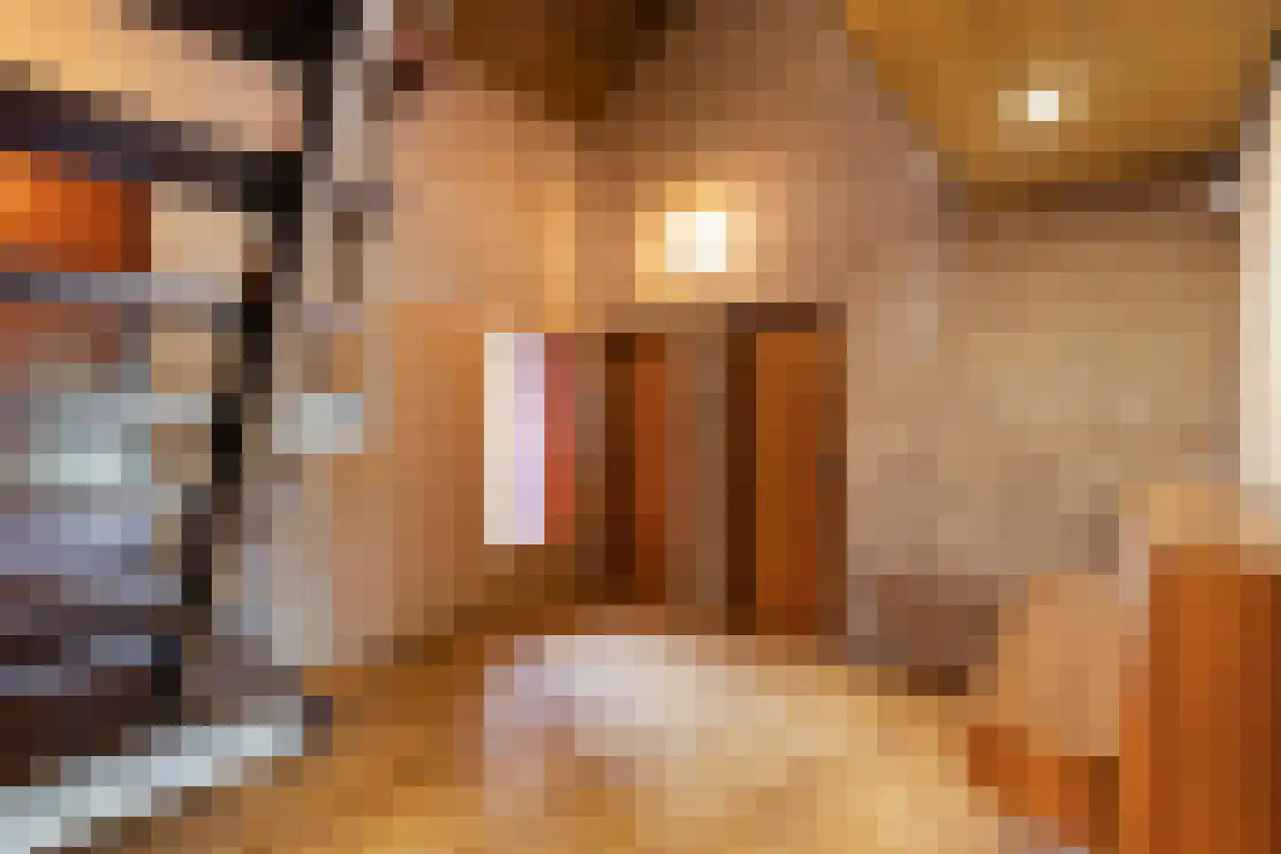 Bilderdijkstraat 6 Alkmaar thumbnail 23