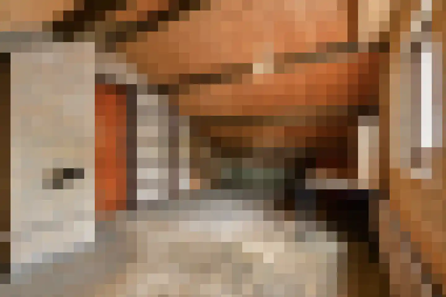 Bilderdijkstraat 6 Alkmaar thumbnail 34