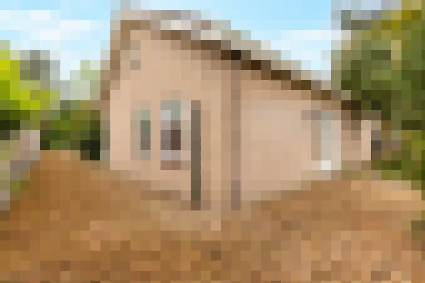 Bilderdijkstraat 6 Alkmaar thumbnail 9