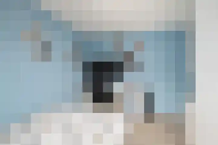 Bilderdijkstraat 6 Oud-Beijerland thumbnail 18