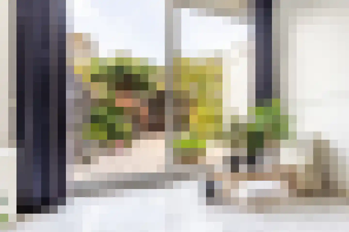 Bilderdijkstraat 60 Haarlem thumbnail 10