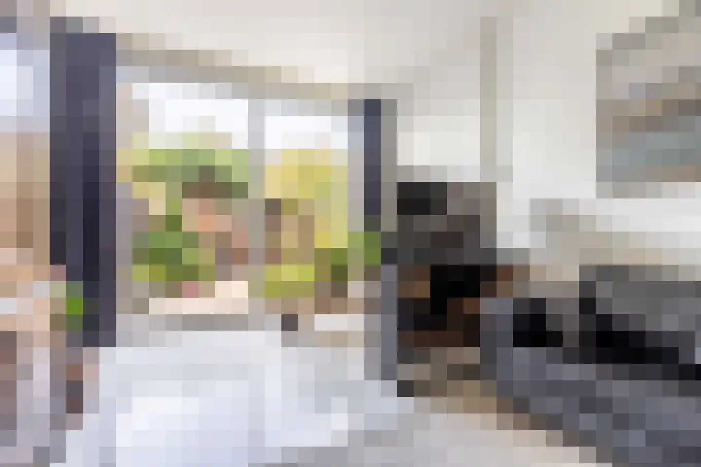 Bilderdijkstraat 60 Haarlem thumbnail 9