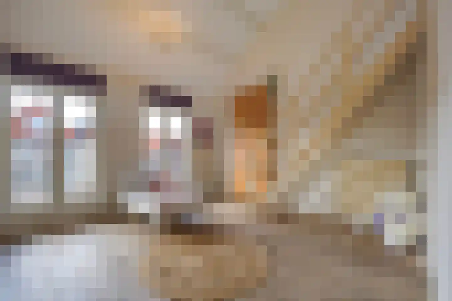 Bilderdijkstraat 62 Den Haag thumbnail 43