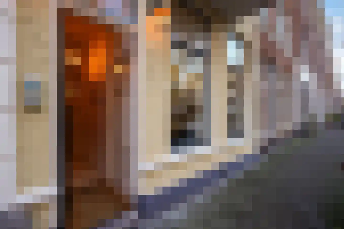 Bilderdijkstraat 62 Den Haag thumbnail 59