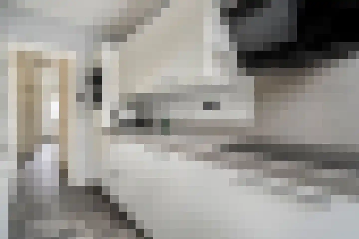 Bilderdijkstraat 62 Zwolle thumbnail 6